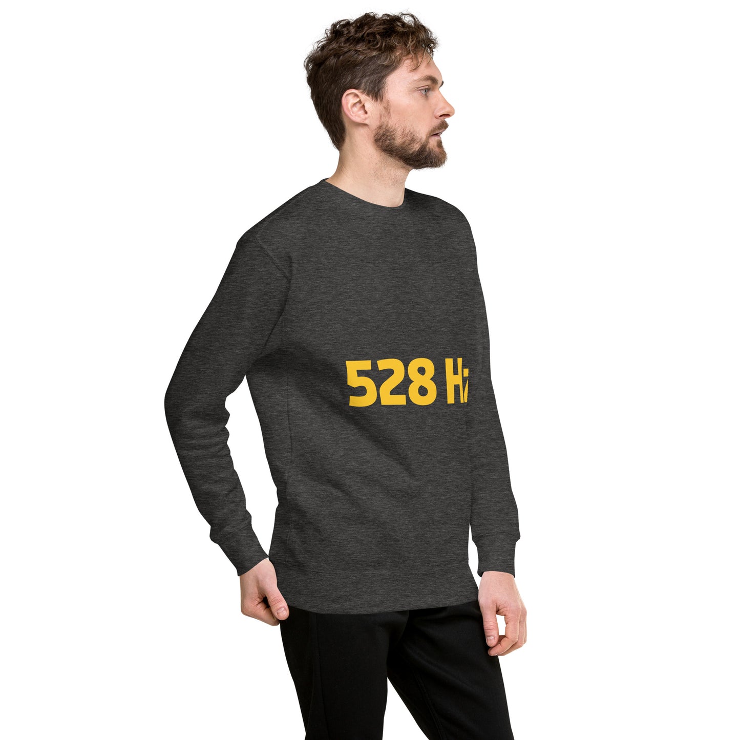 Unisex Premium Sweatshirt - 528 Hz