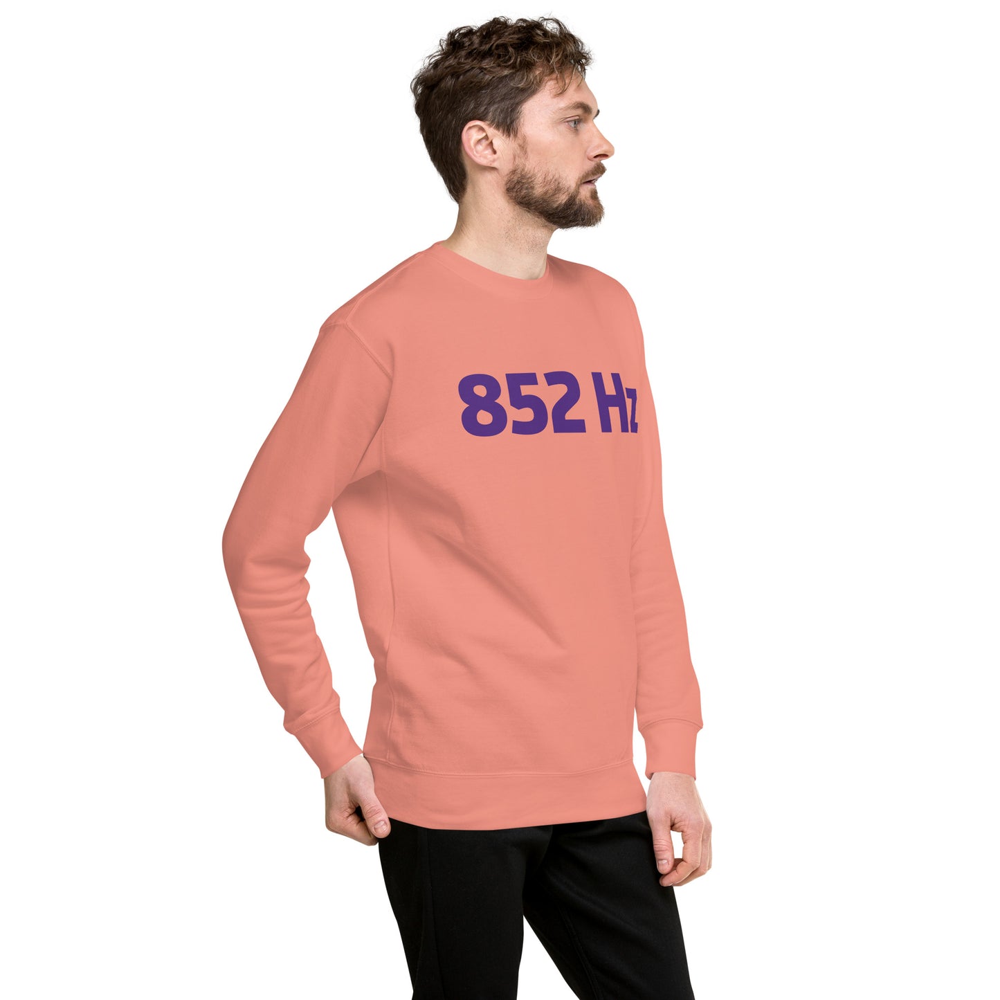 Unisex Premium Sweatshirt - 852 Hz