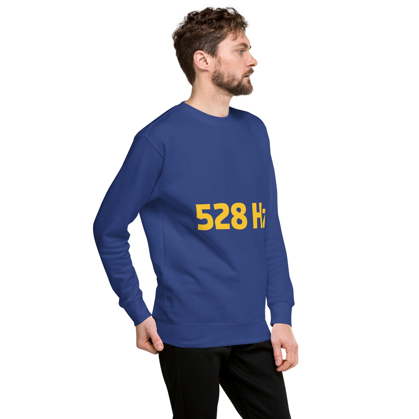 Unisex Premium Sweatshirt - 528 Hz