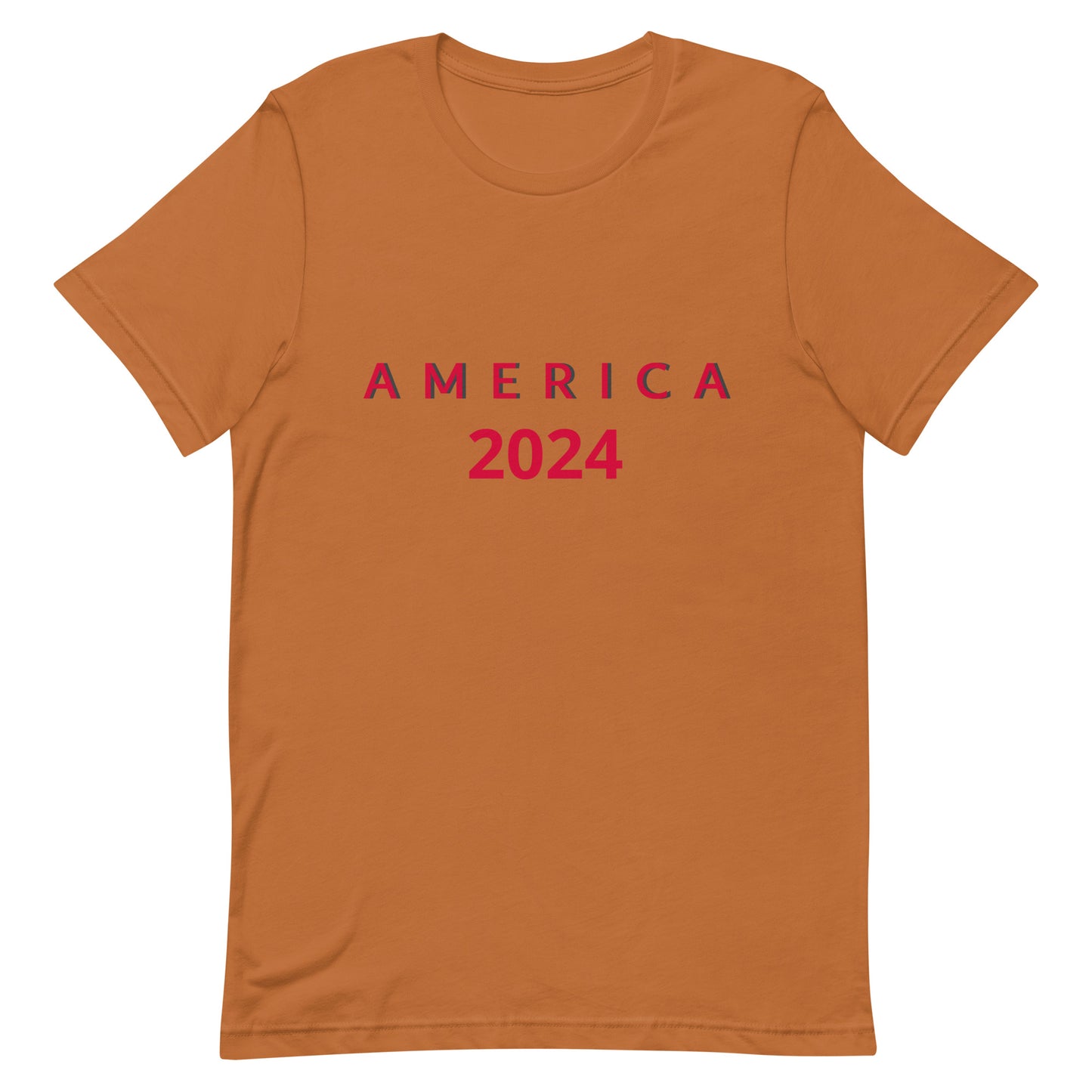 Unisex t-shirt - America 2024